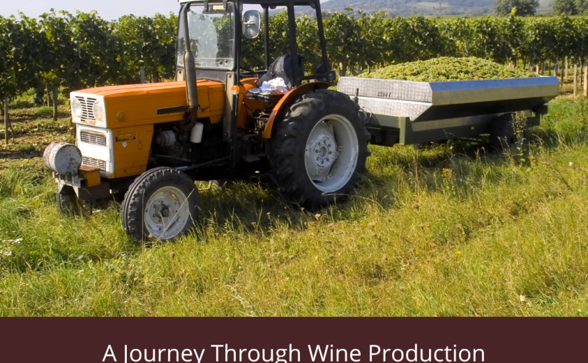 Journey through Wine Production