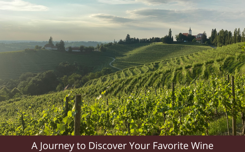 A Journey to Discover Your Favorite Wine