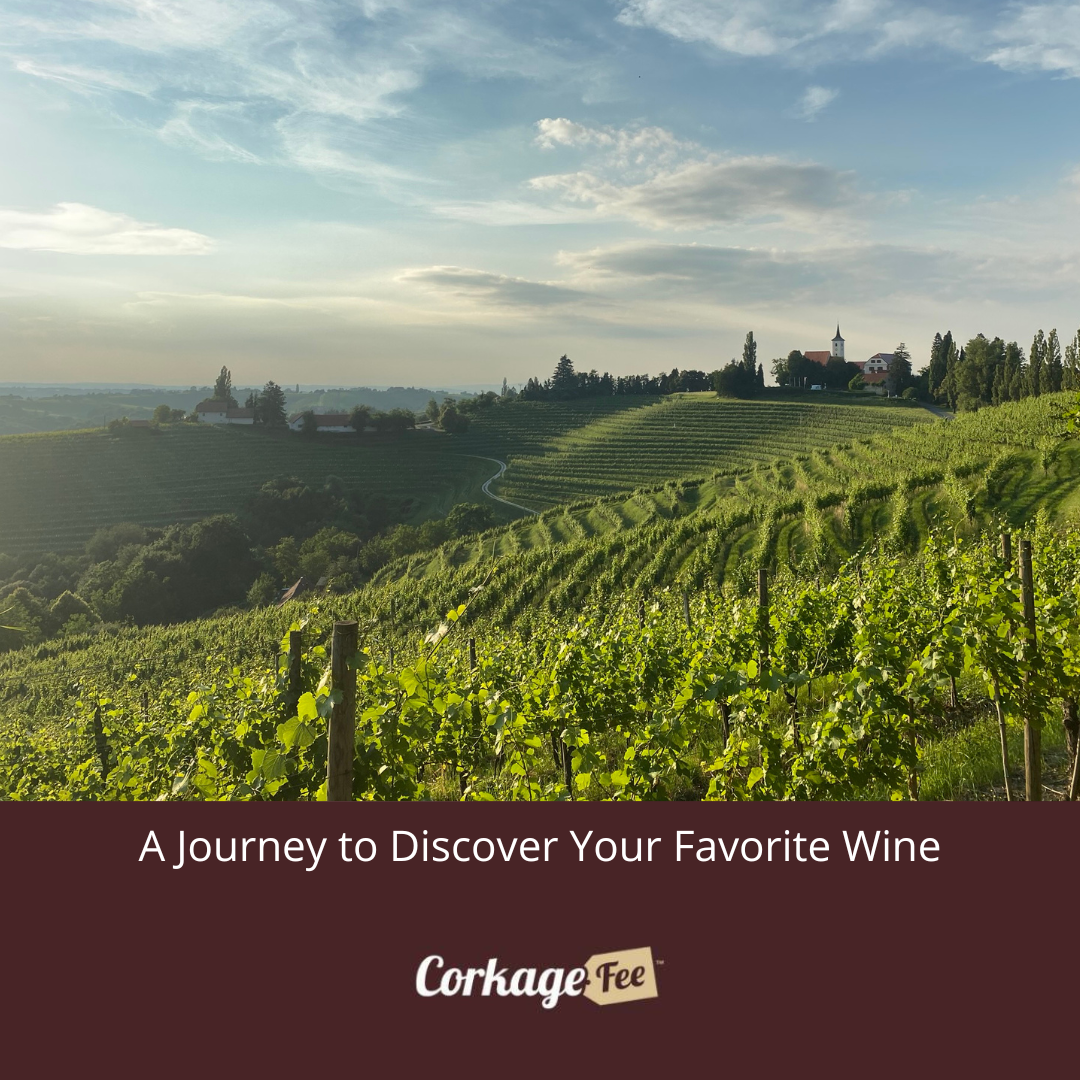Discover your favorite wine